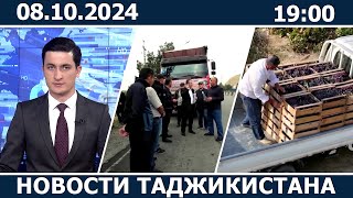 Новости Таджикистана Сегодня  08102024  ахбори точикистон [upl. by Vogel]