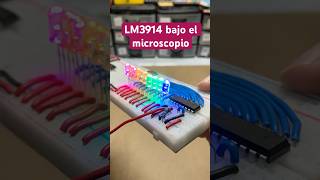 📊 Un LM3914 Bajo El Microscopio [upl. by Catt397]