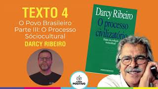 Sociologia no vestibular UFPR  O povo brasileiro parte 3 O processo sóciocultural [upl. by Haskins]