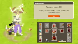 DOFUS RETRO TEMPORIS III 13  UP 200 amp RAMBOTON [upl. by Duffie305]