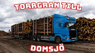 Domsjö Kör lite torrgran till Katrineholm som sedan ska till Domsjö Timmerbil [upl. by Jaynell]