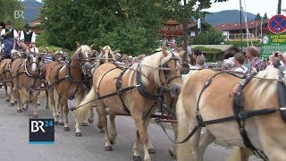 Rosstag in Rottach  Pferde Kutschen und Gespanne am Tegernsee  BR24 [upl. by Jeannette]