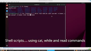 Shell script with a while loop [upl. by Morgan]