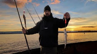 Hartlepool Pilot Pier Practicing Using Multiplier Reels And Catching Plenty Of Whiting [upl. by Guimond]