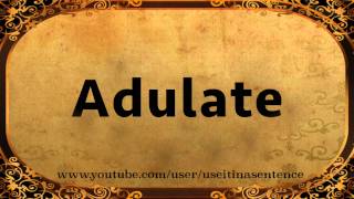 Use Adulate in a Sentence [upl. by Aisetra]