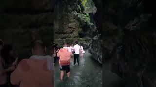 Robbers cave Dehradun nature music NatureloverDrsachinsharma robberscave [upl. by Sherry940]