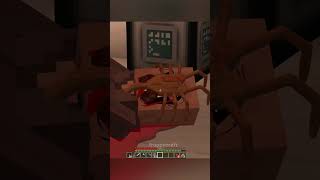 Minecraft Meme [upl. by Isied]