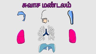 PART3 5TH STD SCIENCEORGAN SYSTEMS சுவாச மண்டலம்respiratory system [upl. by Belinda12]