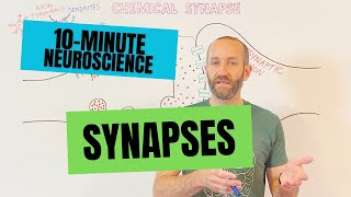 10Minute Neuroscience Synapses [upl. by Pirzada]