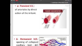 PATHOLOGY  INFLAMMATION PART 1 [upl. by Sumetra424]