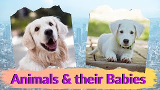 Animals and their babies Names of young animals for kids to learn with subtitles English for Kids [upl. by Annuhsal]