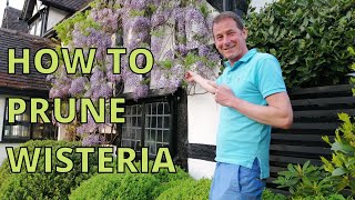 How to prune wisteria for maximum blossom [upl. by Guthry]