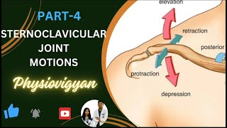 Motions of Sternoclavicular joint Biomechanics ll sternoclavicular Motion [upl. by Koral860]