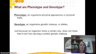 Punnett Squares  Homozygous Heterozygous [upl. by Aiyt]