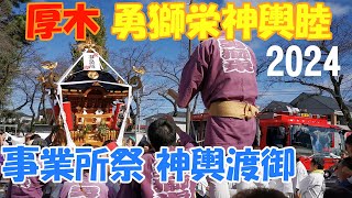 令和６年 厚木市 企業事業所祭 《 勇獅栄神輿睦 神輿渡御 》 [upl. by Eiramoj]