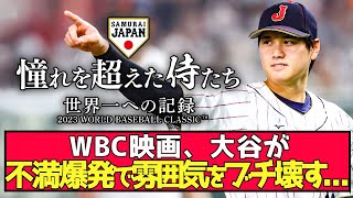 【WBC映画】大谷さんファンに不満爆発で、山田哲人もドン引きしてたｗｗｗｗ [upl. by Vander668]