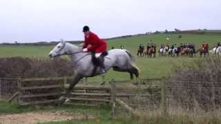 Cottesmore and Quorn Hunts Somerby 17 Nov 15 [upl. by Pejsach288]