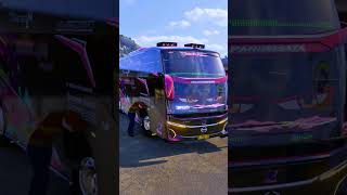 black pink full horn basuri  scania truck driving simulator  MRKRONCAL ets [upl. by Kolnos]