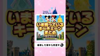 【ディズニーグッズ】2024年9月いま売っているキーチェーンまとめディズニーシーディズニーランド [upl. by Onitnerolf]