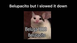 Belupacito slowed [upl. by Ybur910]