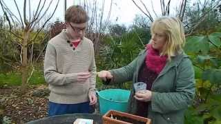 The Science of Growing  sowing Iris reticulata with Josh [upl. by Allemrac899]