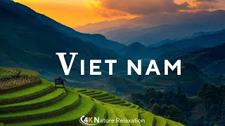 Relaxing Music with Beautiful Landscapes of Vietnam  Nature Relaxation [upl. by Koval]