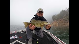 Lake Sonoma Bass Fishing 10 11 24 [upl. by Nahpos]