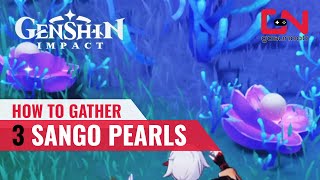 Gather 3 Sango Pearls Genshin Impact  Sango Pearl LOCATIONS for Trillion Trinket Trawl [upl. by Moe68]