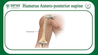 Humerus AnteroPosterior Supine View  Xray Radiographic Patient Positioning [upl. by Eekram]