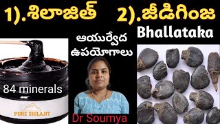 Shilajit uses amp Benefits in Ayurveda How to use  శిలాజిత్ అంటే ఏంటి Bhallataka UsesDr Soumya [upl. by Anastassia661]