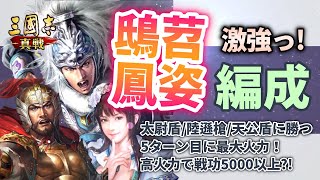 【三国志真戦：199】シーズン戦法「鴟苕鳳姿」でTier0編成をなぎ倒す【三国志战略版】 [upl. by Geehan]