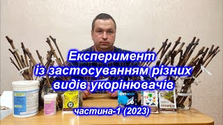 Експеримент із застосуванням різних видів укорінювачів ч1 [upl. by Ramon]