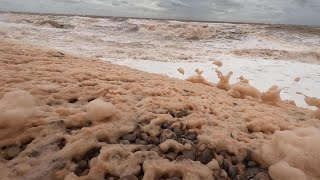 What Is Sea Foam Is It Dangerous [upl. by Asirral]