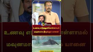 உணவு எடுத்துக்கொள்ளாமல் மவுனமாக இருக்கும் யானை  shorts  tiruchendur  elephant [upl. by Navek460]