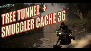 Tree Tunnel amp Smuggler Cache 36 Treasure Location Akiva [upl. by Eiryt76]