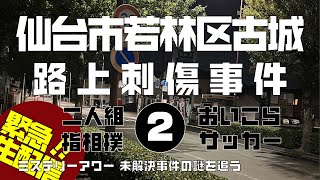 仙台市若林区古城路上刺傷事件 時効直前特集 考察編 【ミステリーアワー】未解決事件の謎を追う [upl. by Eamon542]