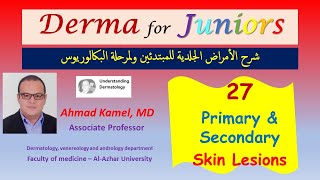 027 Primary and Secondary Skin Lesions [upl. by Marjorie632]