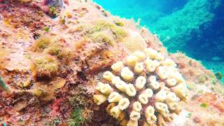 Cavern Dive Chankanaab Park Cozumel Mexico [upl. by Madelin859]