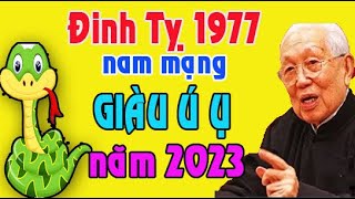 Tử vi tuổi Đinh Tỵ 1977 nam mạng năm 2023 [upl. by Corbett253]