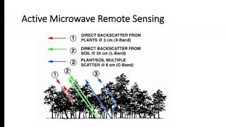 Active Microwave Remote Sensing [upl. by Sheffy]