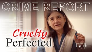 Perfection is criminal  Maneka Gandhis shocking revelation on breeding [upl. by Yuille]