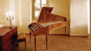 Stein fortepiano played by Sofronitsky amp Brautigam CPE Bach Mozart Beethoven [upl. by Ternan]