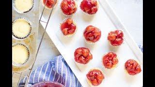 Mini Cheesecakes [upl. by Nicholl]