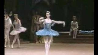 Svetlana Zakharova Bolshoi Ballet Videobaletnet collectio [upl. by Aihtnamas]