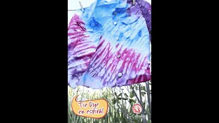 TIE DYE EN ESPIRAL  Técnicas de Teñido con el Caballito ®  ¡Pinta tu Ropa Crea y Diviértete [upl. by Assenahs]