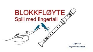 Blokkfløyteskole  Nybegynner 1 [upl. by Vaughn681]