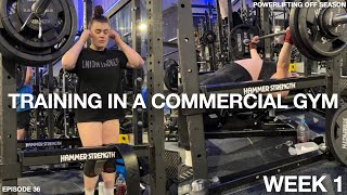 Powerlifting offseason  Ep 36  Powerlifting in a commercial gym [upl. by Kitti134]