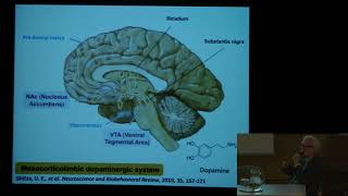 EntheoScience  Dana Beal  Mechanism of nerve growth amp Ibogaine’s Immune Modulatory Effects [upl. by Corrianne]