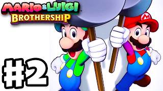 Hammer Time Raynforst Island  Mario amp Luigi Brothership  Full Game Walkthrough Part 2 [upl. by Aneerb905]