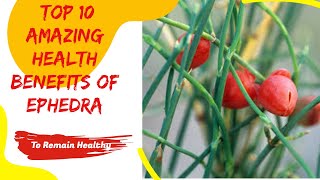 Top 10 Amazing Health Benefits Of Ephedra [upl. by Rondon]